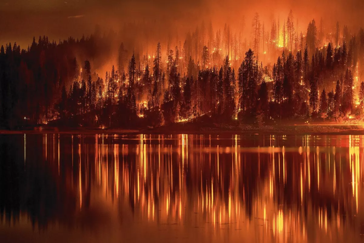 Navagating the Wildfires: How Climate Change is Affecting the Frequency and Intensity of Wildfires